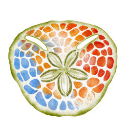 logo_colour_1080x1080_trans